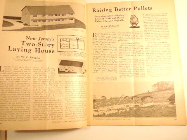 April 1935 Everybodys Poultry Magazine with ads and articles for poutry farmers.