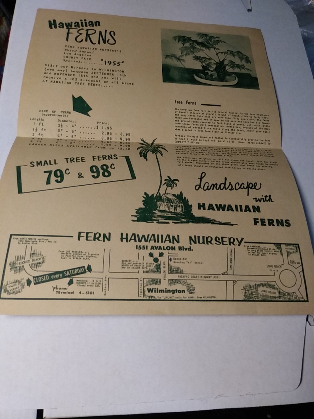 1955 Fern Hawaiian Nursery « Plants-For Every Home&Every Garden » Print Ad