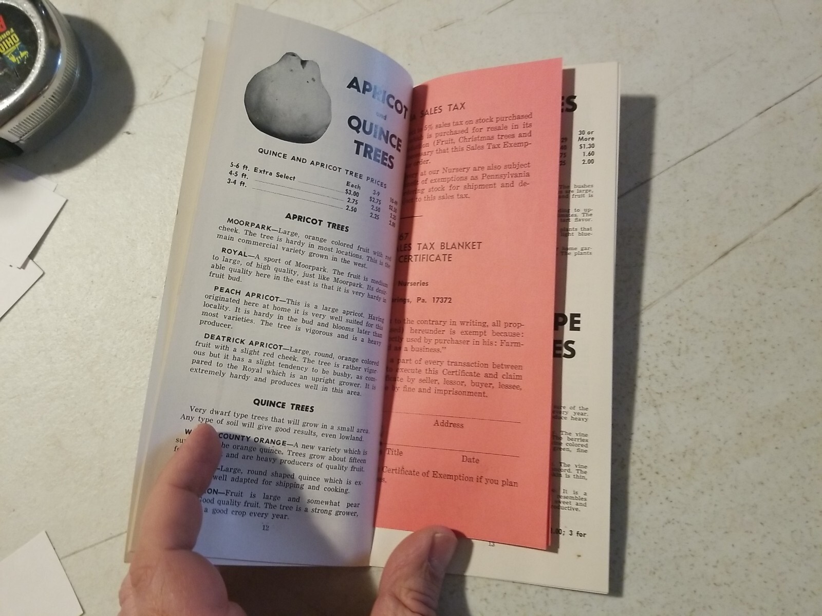 Vintage 1967 Worley&rsquo;s Nurseries Orchard Fruit Trees Brochure. York Springs,PA
