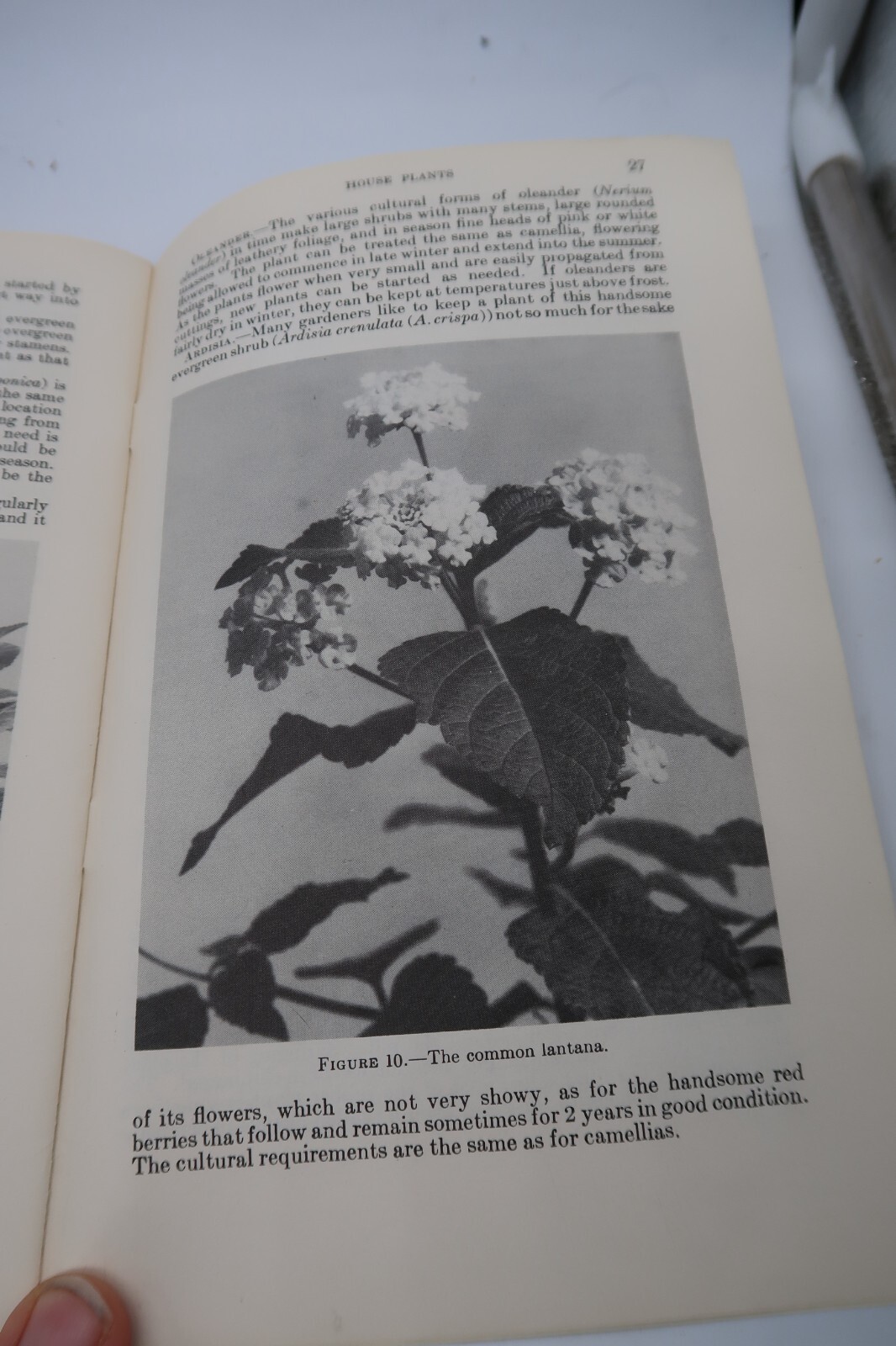 1941 USDA Farmers&rsquo; Bulletin No. 1872 House Plants Ephemera Furman Lloyd Mulford