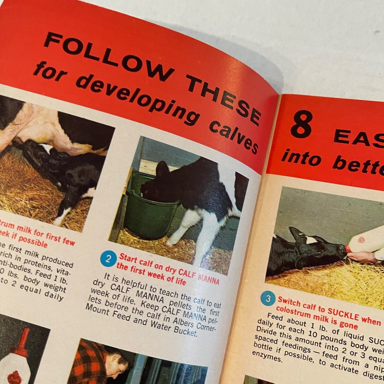 Albers Milling Company 1968 Carnation Albers Calf Plan Selecting Feeding Showing