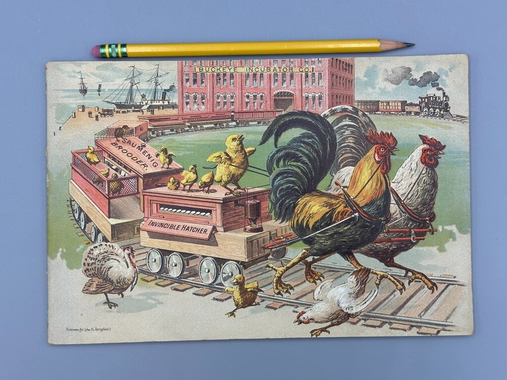 Rare 1893 BUCKEYE INCUBATOR CO Chicken CHICKS Farm Advertise BOOK Springfield OH