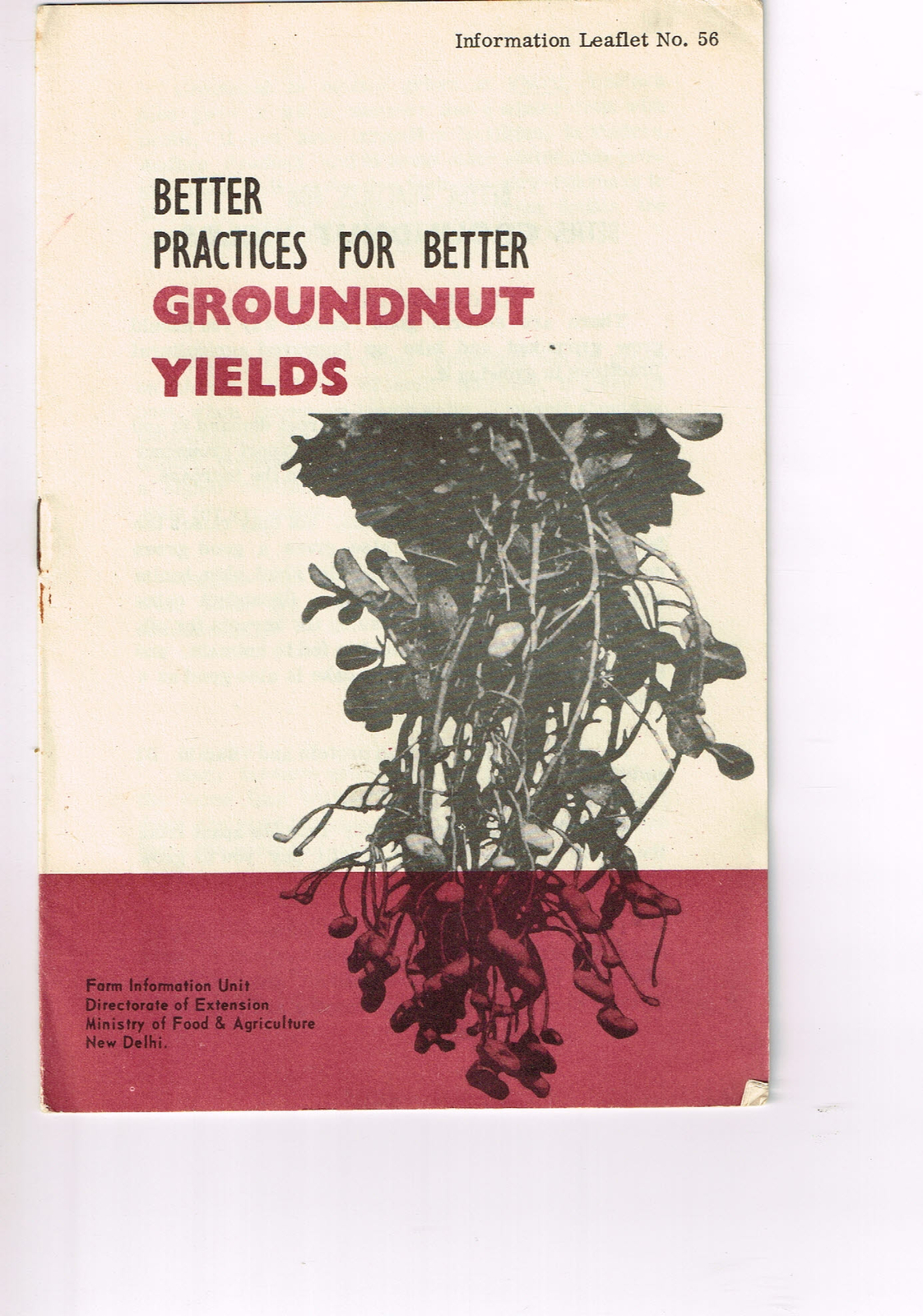 Vintage 1960s Farm Brochure India New Delhi Better Practices for Groundnut