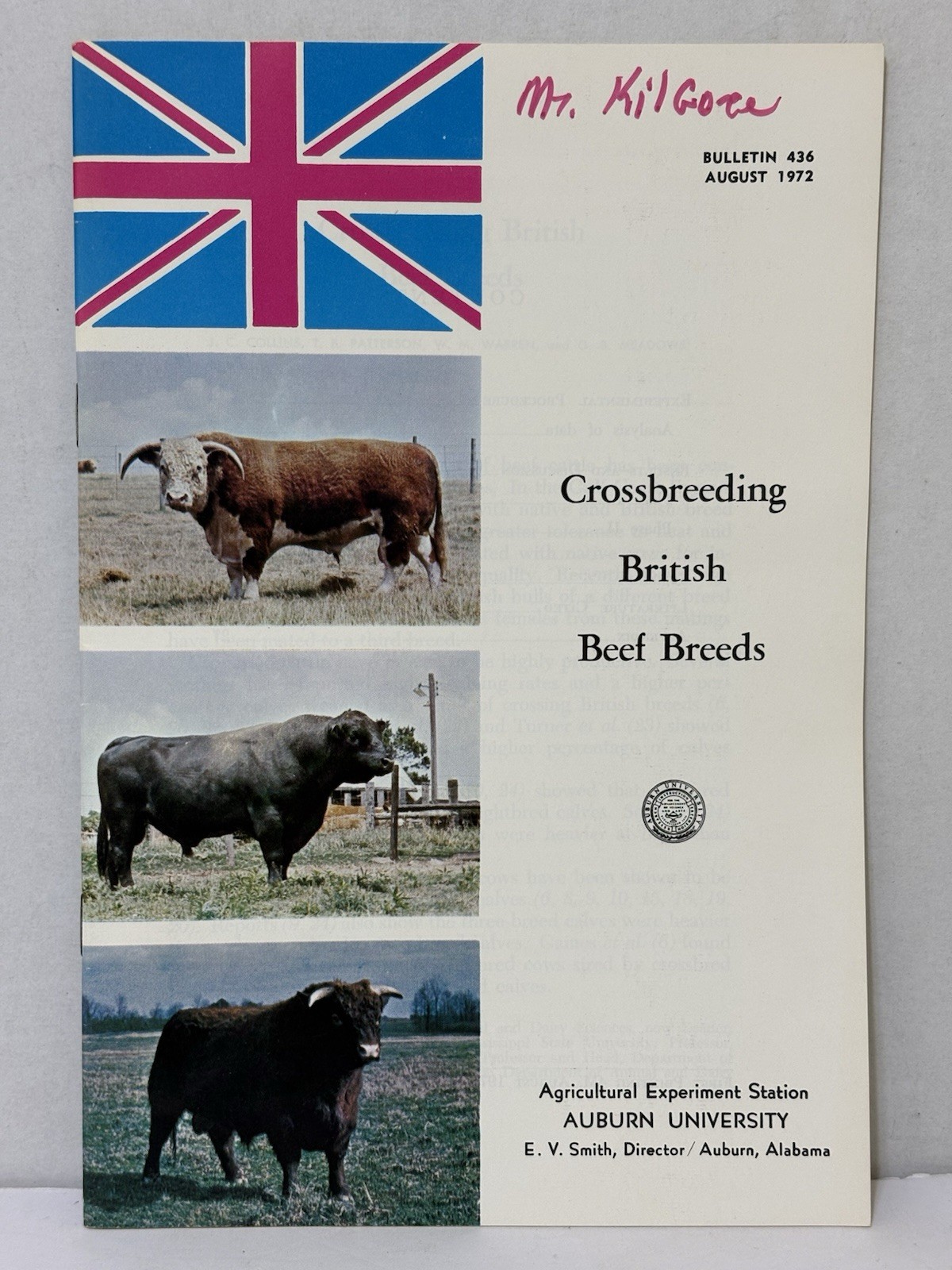Vintage Cattle Booklet CROSSBREEDING BRITISH BEEF Brands – 1972, Auburn Univ.