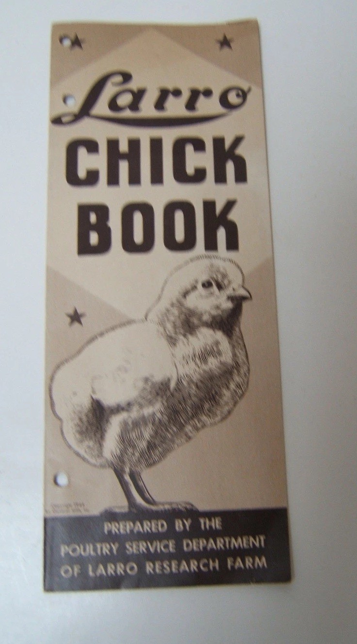 Vtg Larro Chick Book 1944 General Mills Booklet on Raising Chickens Illustrated