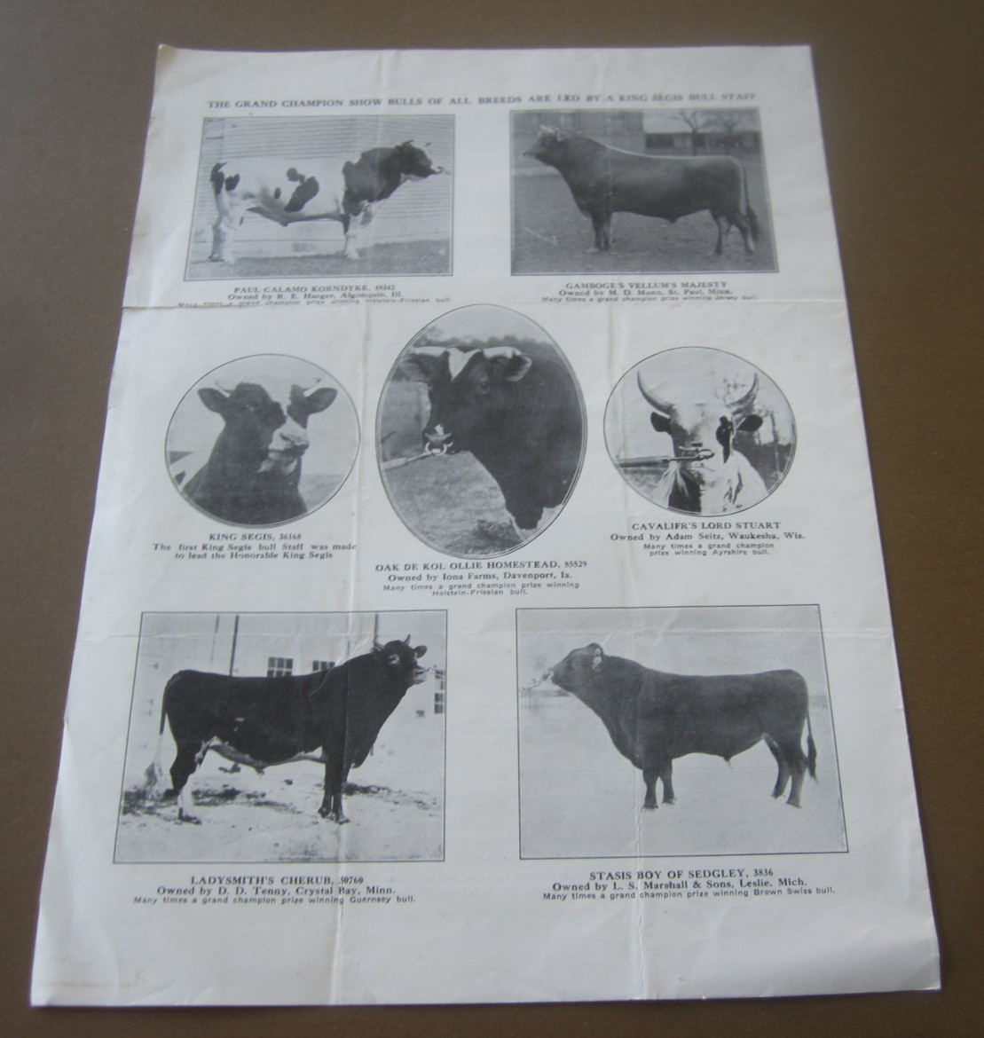 1910&rsquo;s – KING SEGIS – Lock Ear Tags – Bull Rings – CATTLE – Advertising Brochure