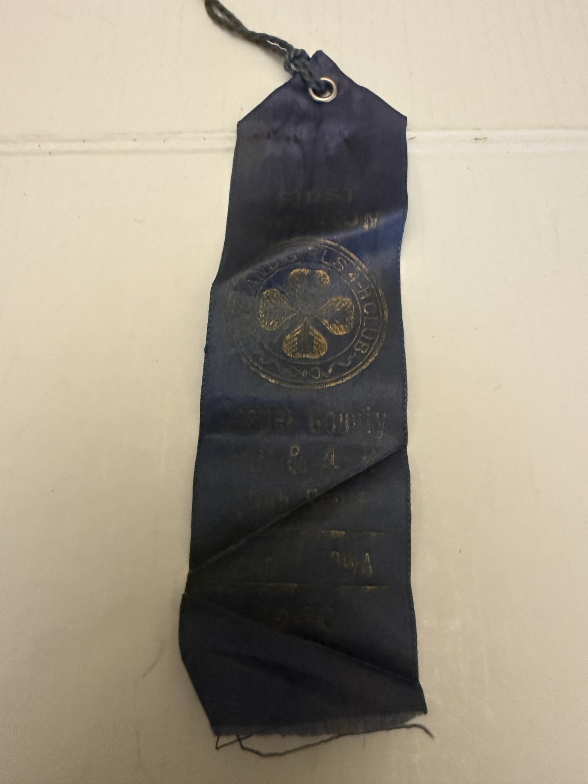 1940 Jasper County Iowa 4-H Club First Premium Ribbon Colfax Iowa