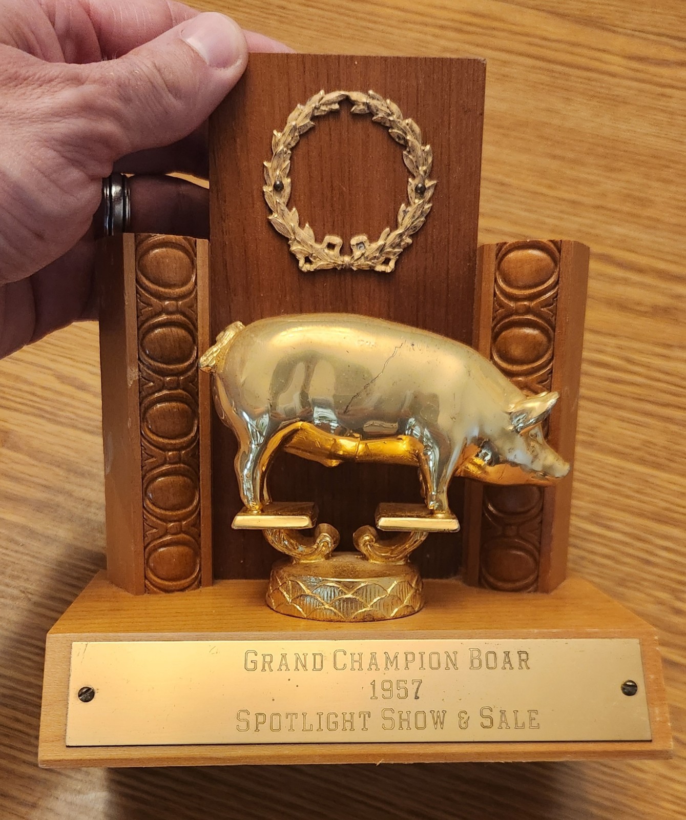 🐖1950s🔥RARE Pig Hog Trophy Champion Market Boar Sow CHESTER WHITES Iowa Sign