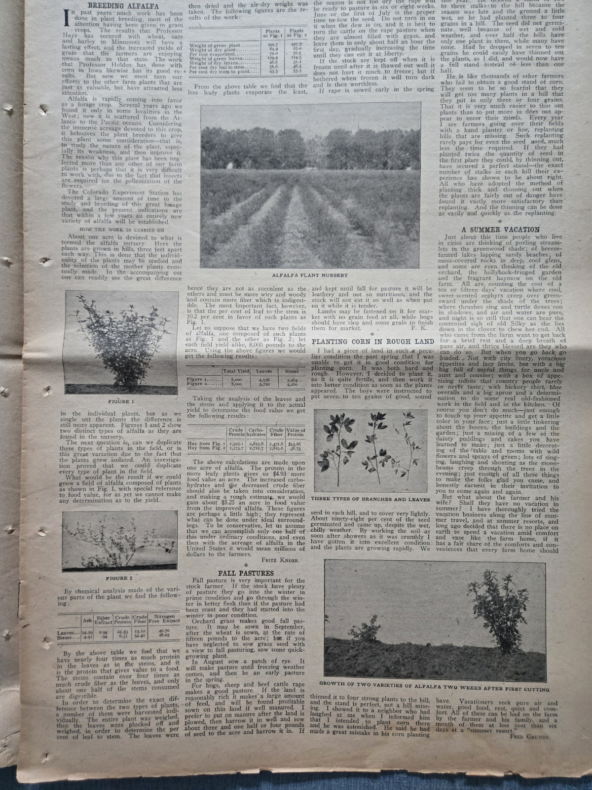 Farm & Fireside Newspaper July 25 1907 Articles Ads Fashion News Humor
