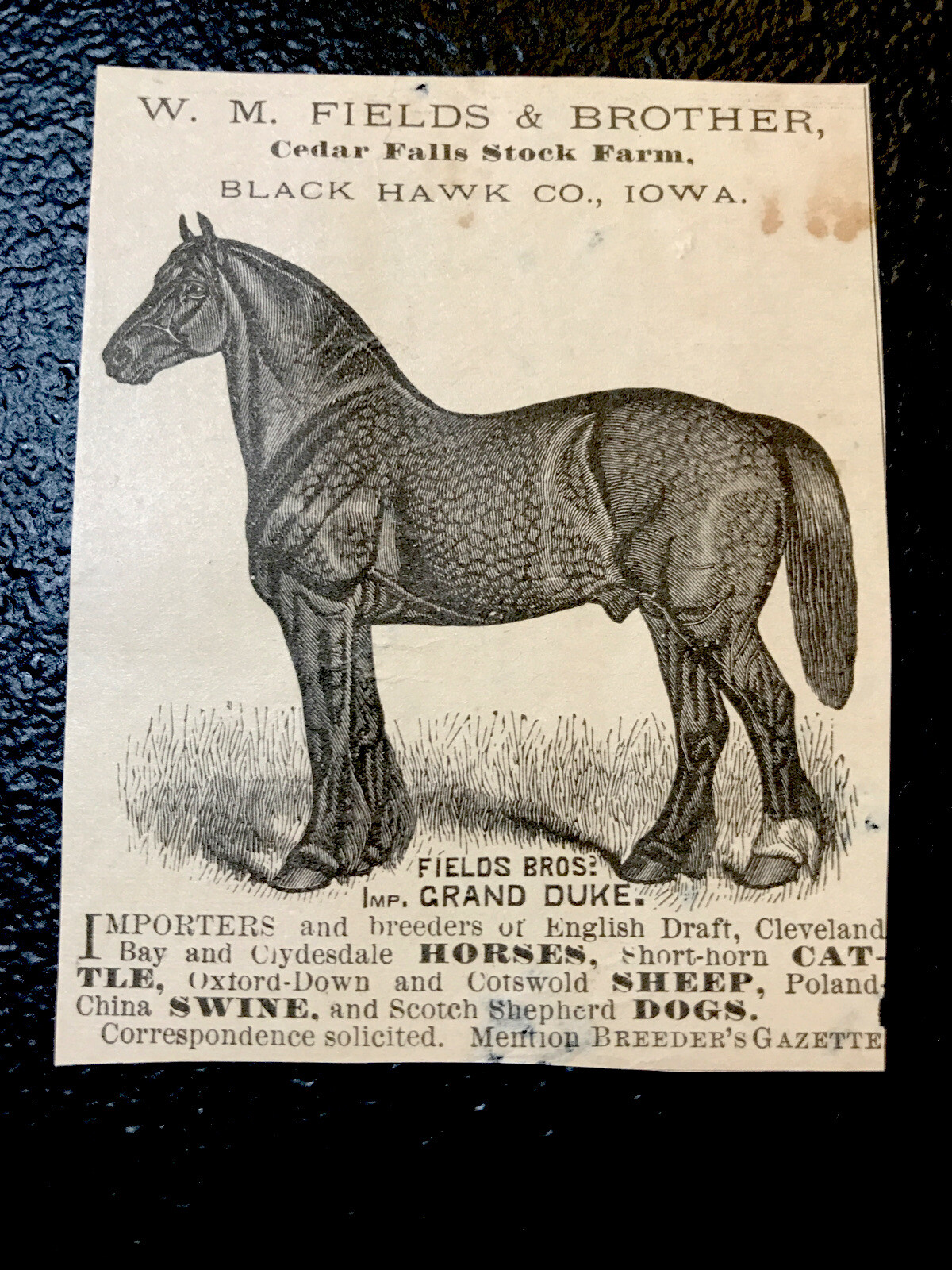 1883 W.M. Fields & Brother Horse Advertising – Cedar Falls – Iowa – Black Hawk