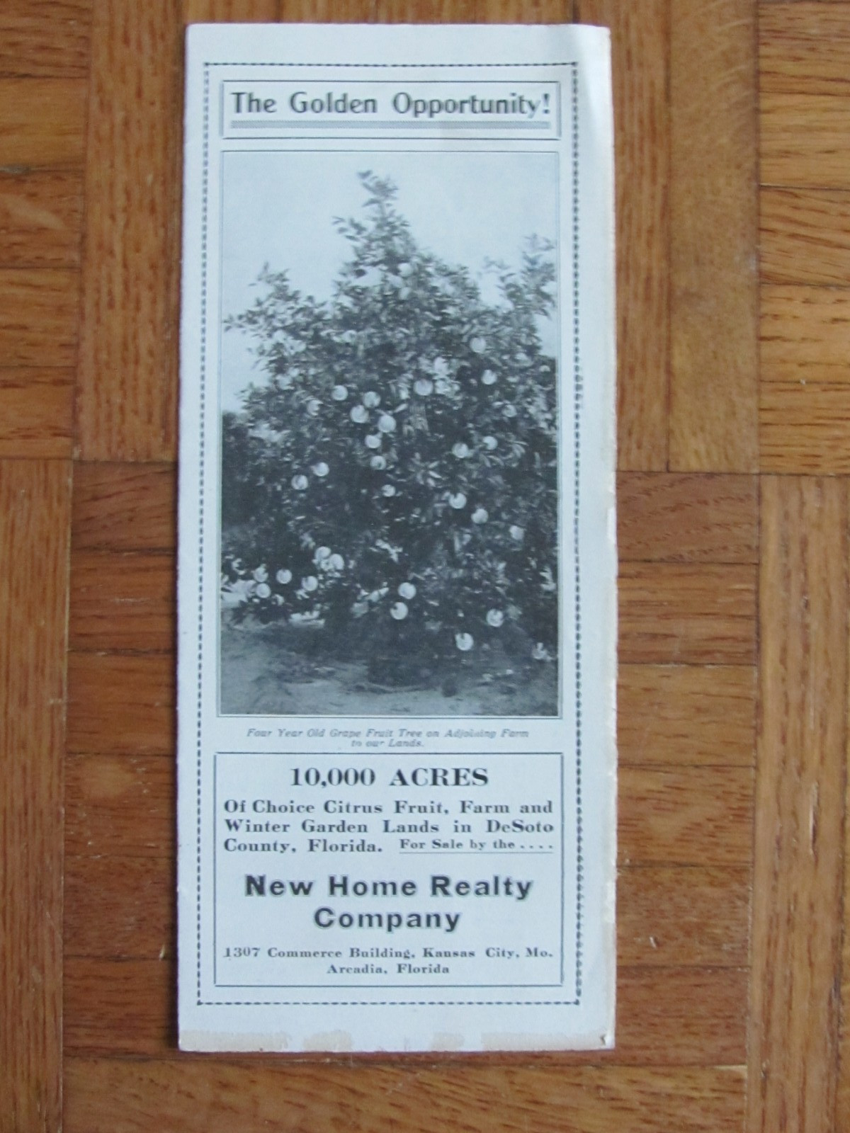 1920&rsquo;s BROCHURE DE SOTO COUNTY FLORIDA CITRUS & FARM LAND NEW HOME REALTY CO
