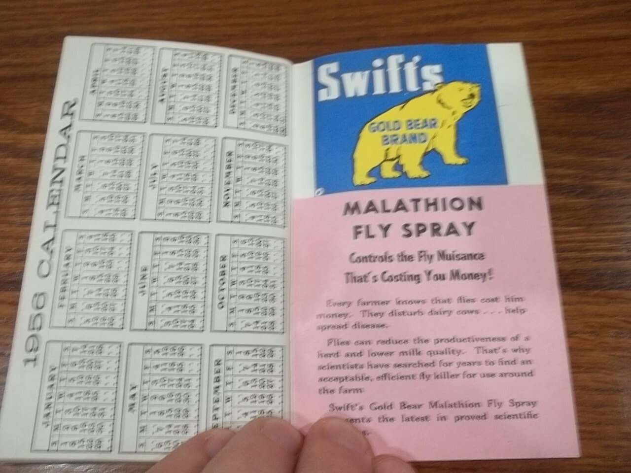 1955 Swift&rsquo;s Red Steer Memo Book & Growth Meter Agriculture Farm Animals