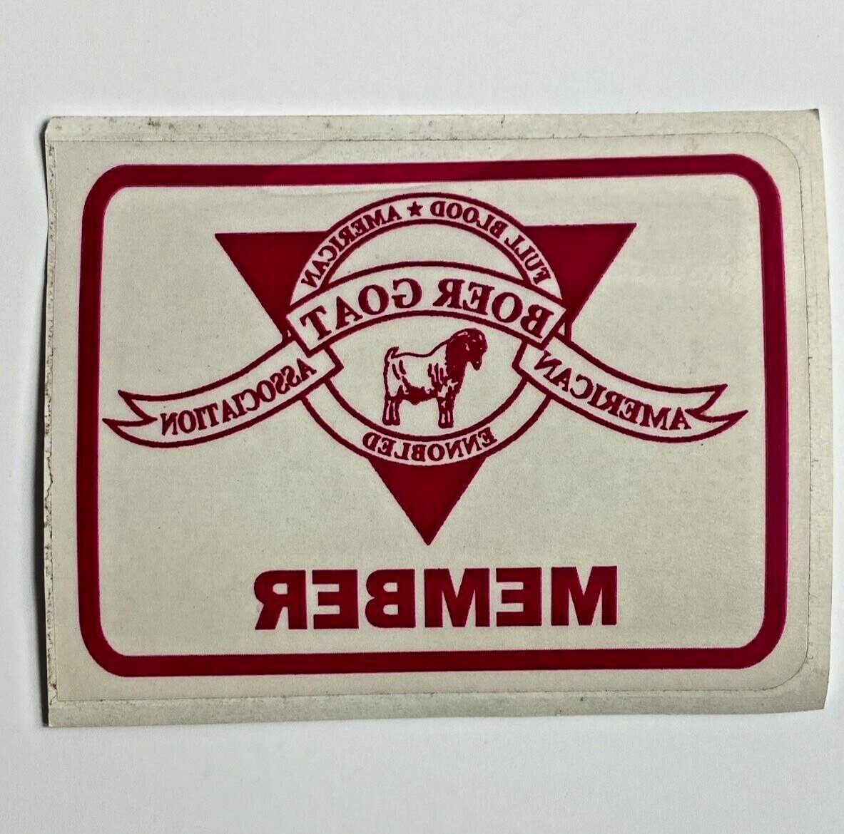 MEMBER American Boer Goat Association Full Blood Window Decal Sticker Livestock