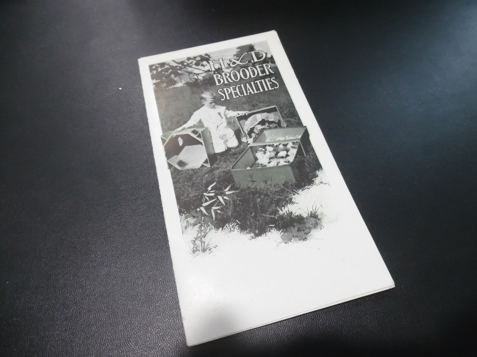 EARLY 1900&rsquo;s BROODER CHICKEN HATCHING EGGS AGRICULTURE ADVERTISING BROCHURE