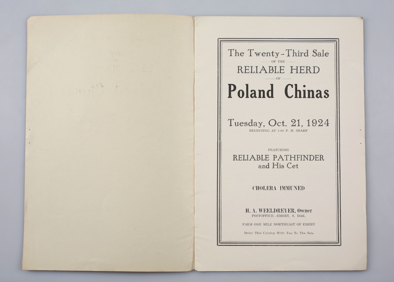 Vintage 1924 Poland China Pig Sale Cholera Immuned Emery South Dakota