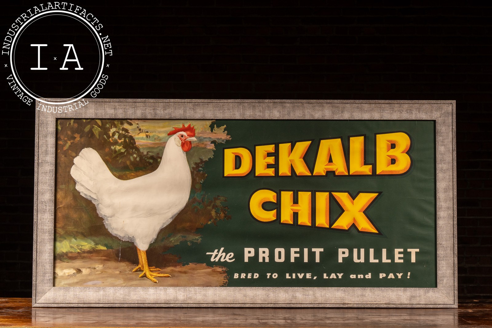 Vintage DeKalb Chix Framed Agriculture Poster