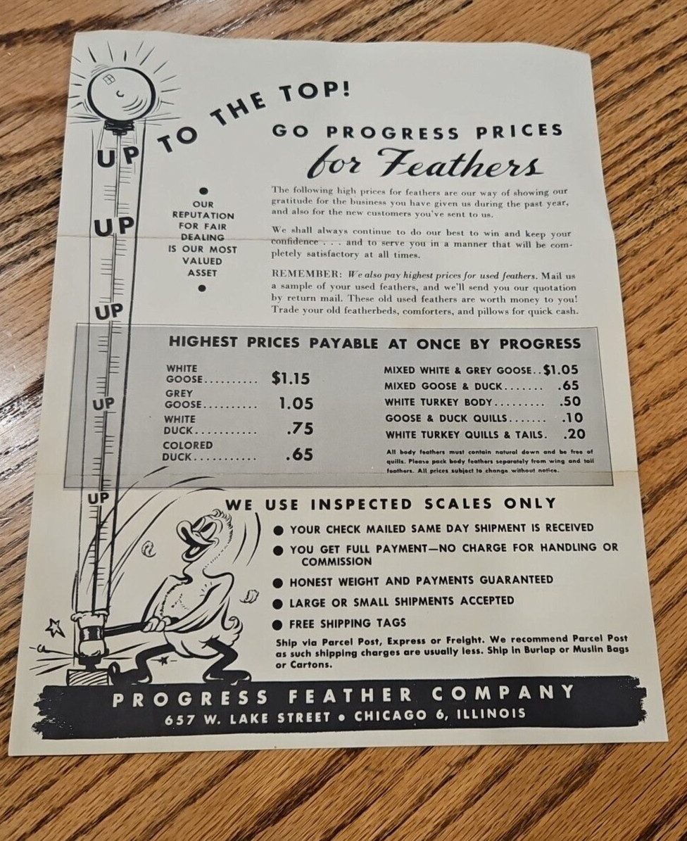 1950s Progress Feather Wholesale In Raw Feathers Fancy & Bedding Mascot Chicago