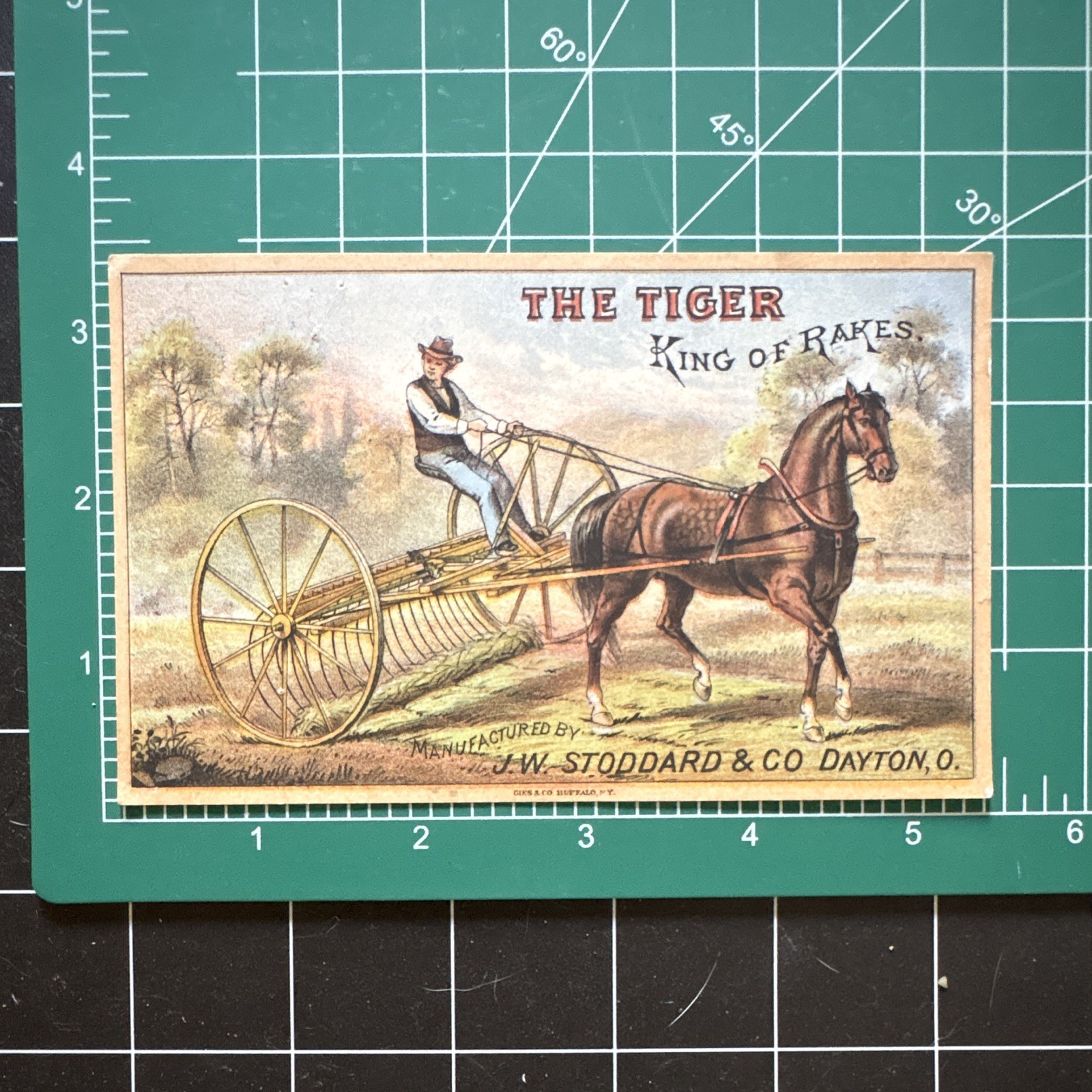 J.W. Stoddard & Co. « The Tiger King of Rakes » Trade Card, Multicolor 1878