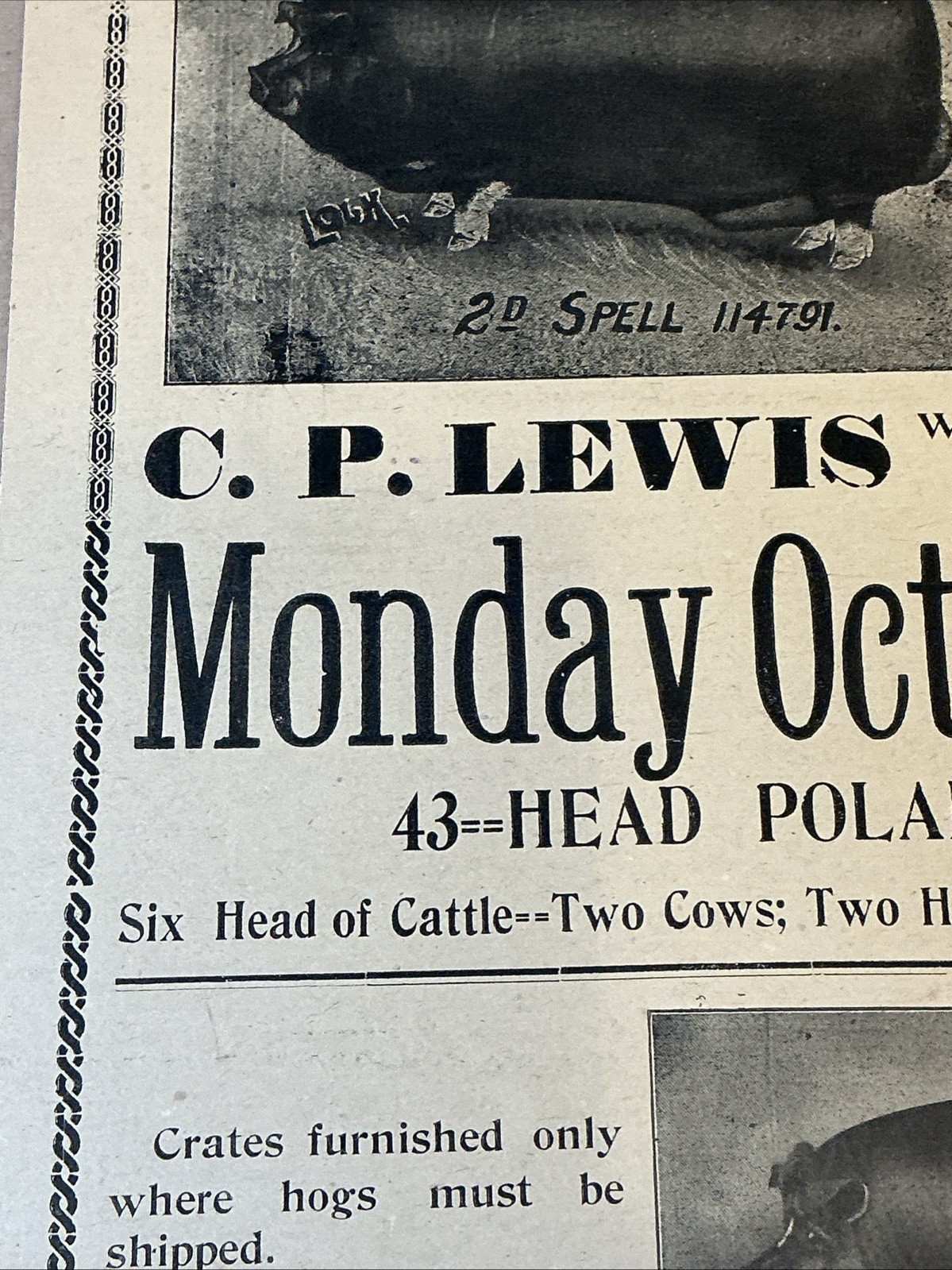 Antique 1911 Original Auction Poster China Hog Public Sale Ohio As Is INV-AC07Z