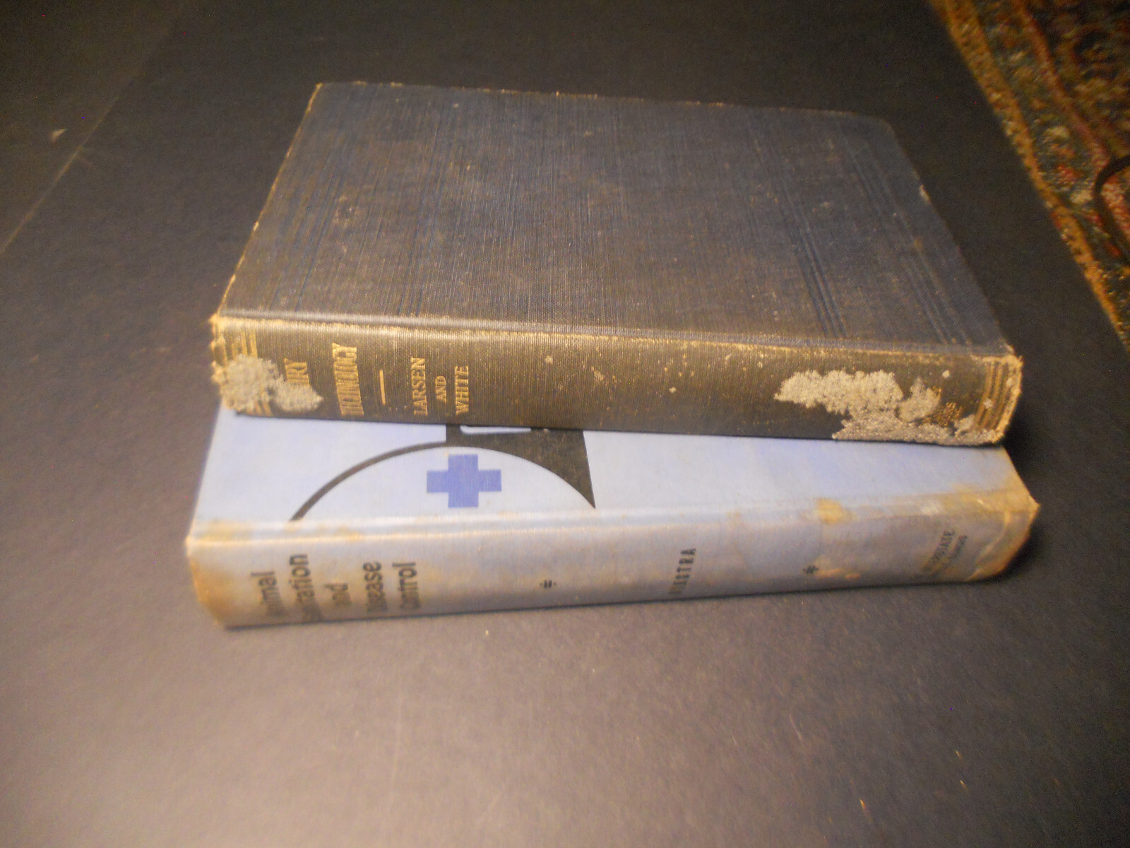 1914 DAIRY TECHNOLOGY Cattle C. Larsen Wm White 1st Ed Animal Sanitation Disease
