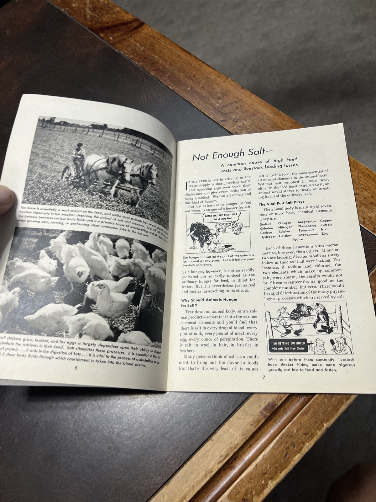Vintage Morton Salt Co Brochure “Profitable Livestock Feeding”