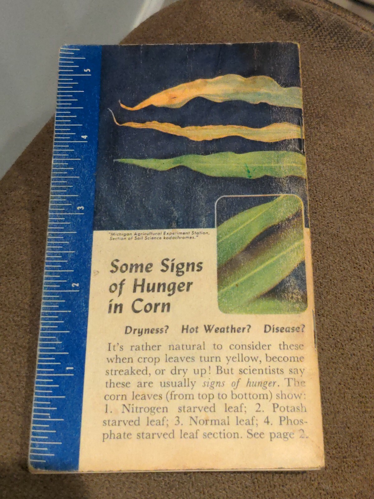 Vintage 1964 Swift’s Red Steer Fertilizer Memorandum Pocket Book *NEVER USED*