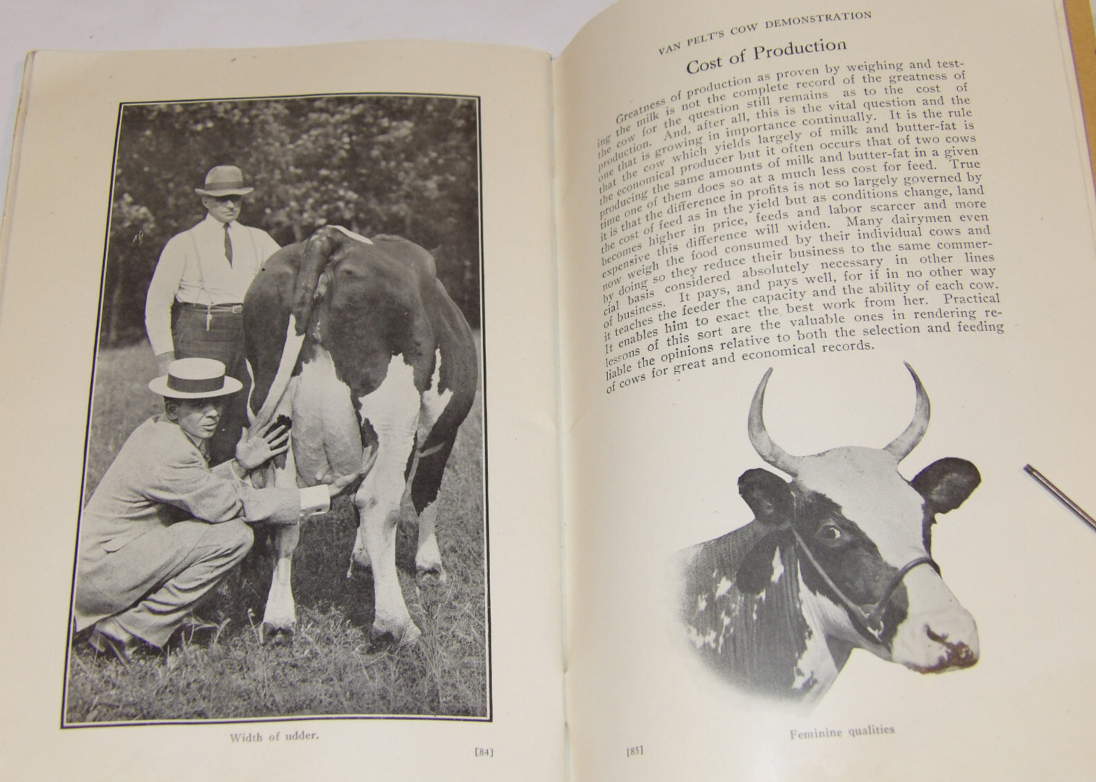 1911 VAN PELT&rsquo;S COW DEMONSTRATION BOOK! 1st EDITION! ILLUSTRATED! 5 ESSENTIALS!