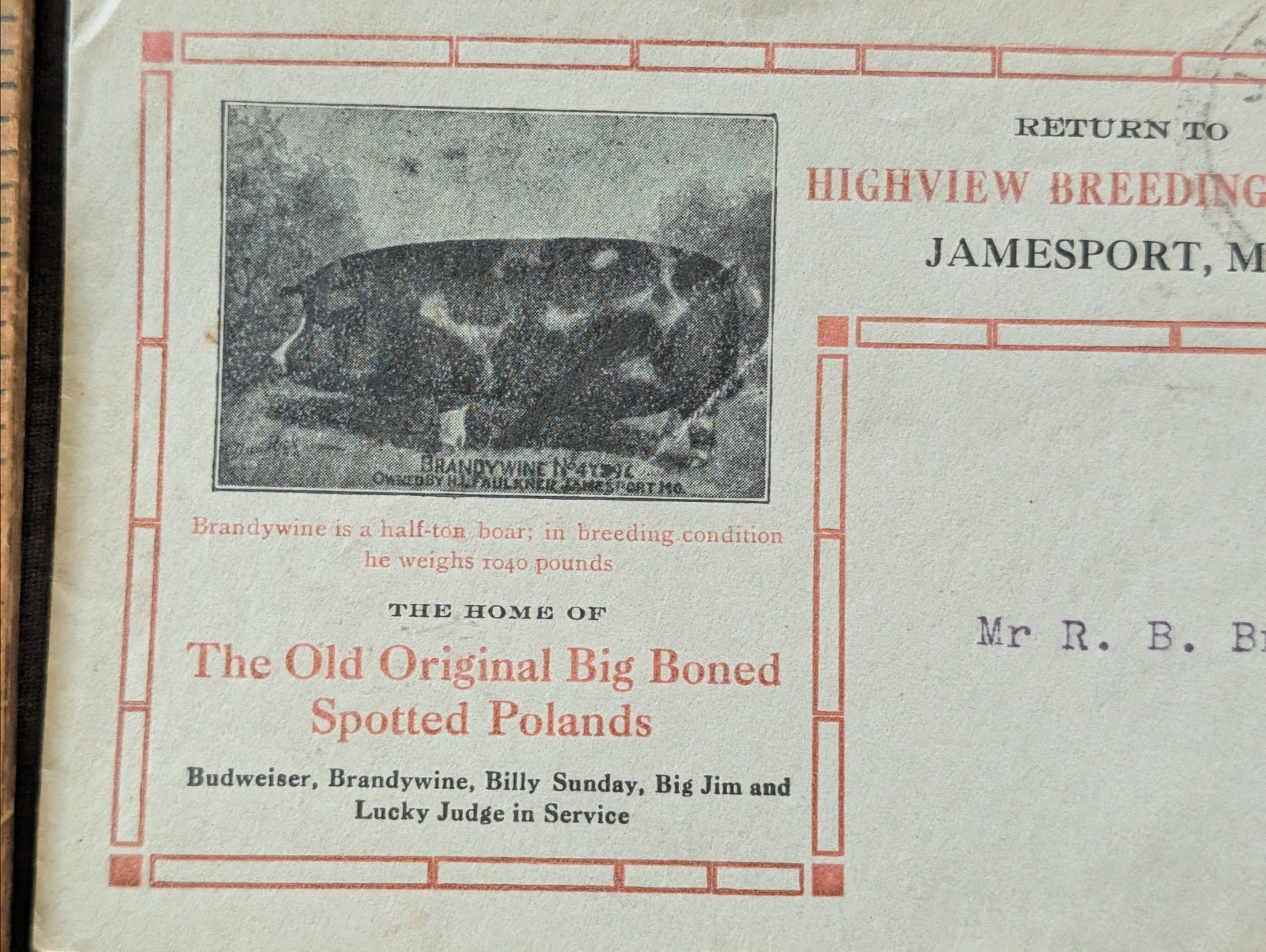 Antique Jamesport Poland hog farm advertising envelope