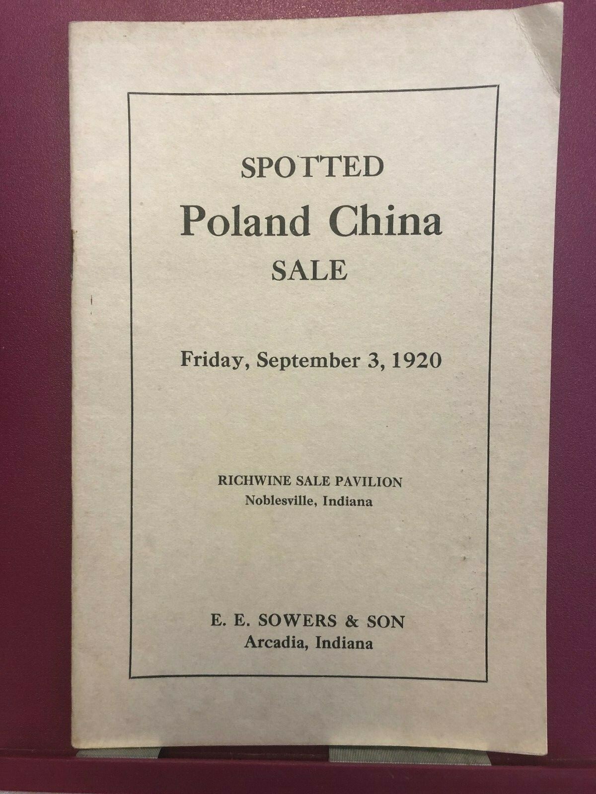 Spotted Poland China Catalog E.E. Sowers & Sons Arcadia/Noblesville Indiana 1920