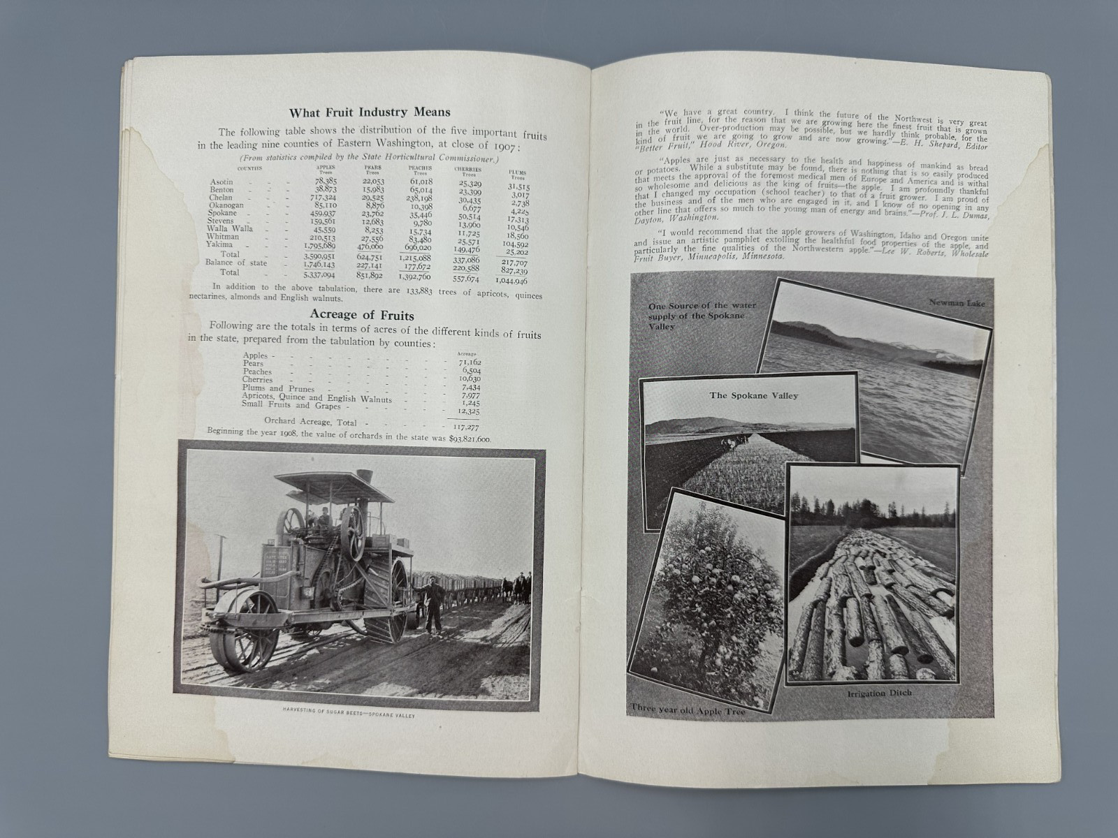 1908 SPOKANE COUNTRY Farming APPLE ORCHARD Fruit HOLT STEAM ENGINE Chamber MAP