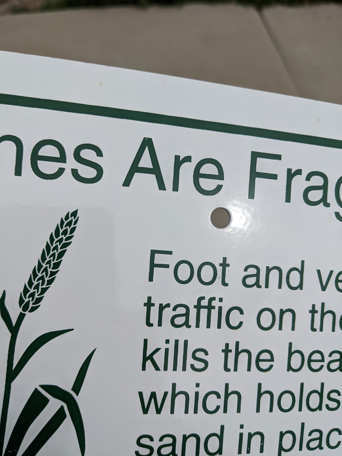 Rare Vintage Dunes Are Fragile Protect The Dunes Porcelain/Enamel Sign