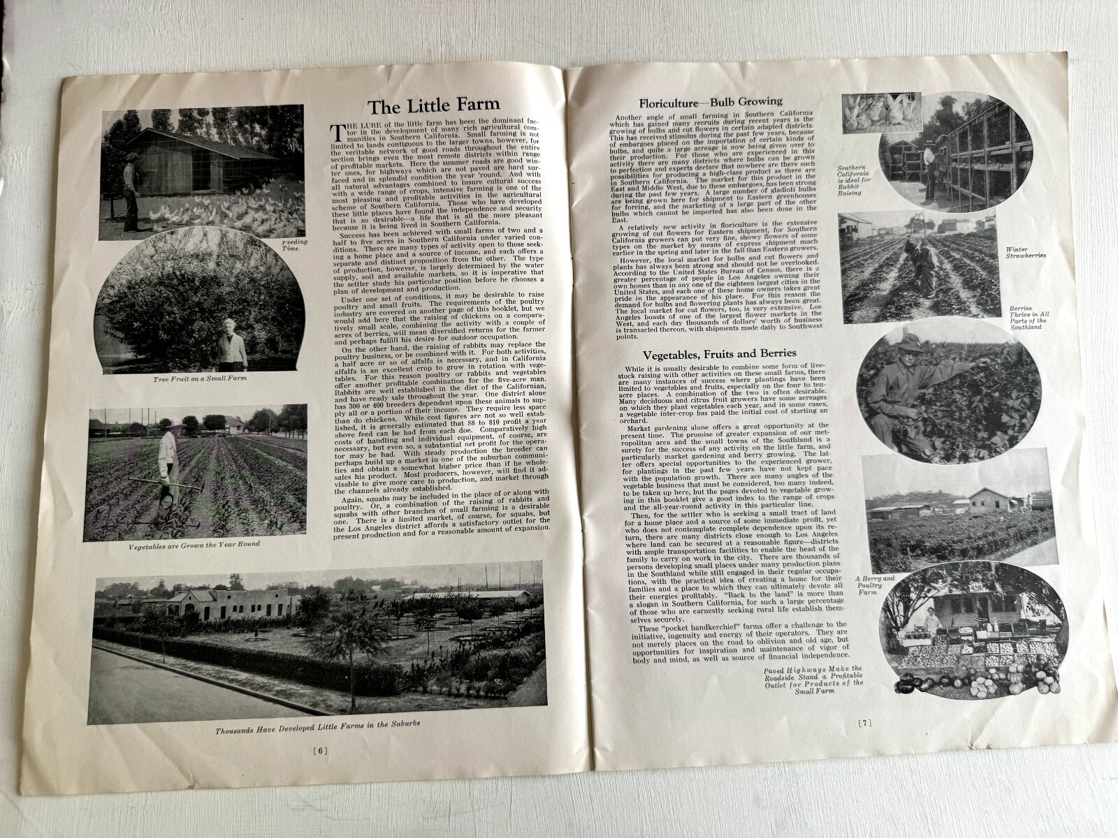 1927 Booklet- Los Angeles the Center of an Agricultural Empire