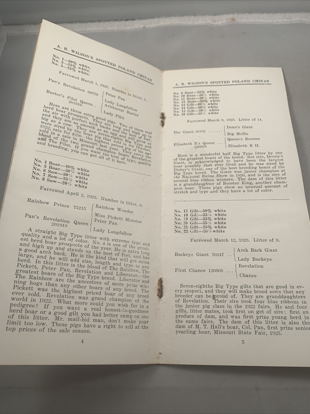 1923 Hog Sale Brochure Wilson’s Prolific Poland China Pig Farm Darlington MO