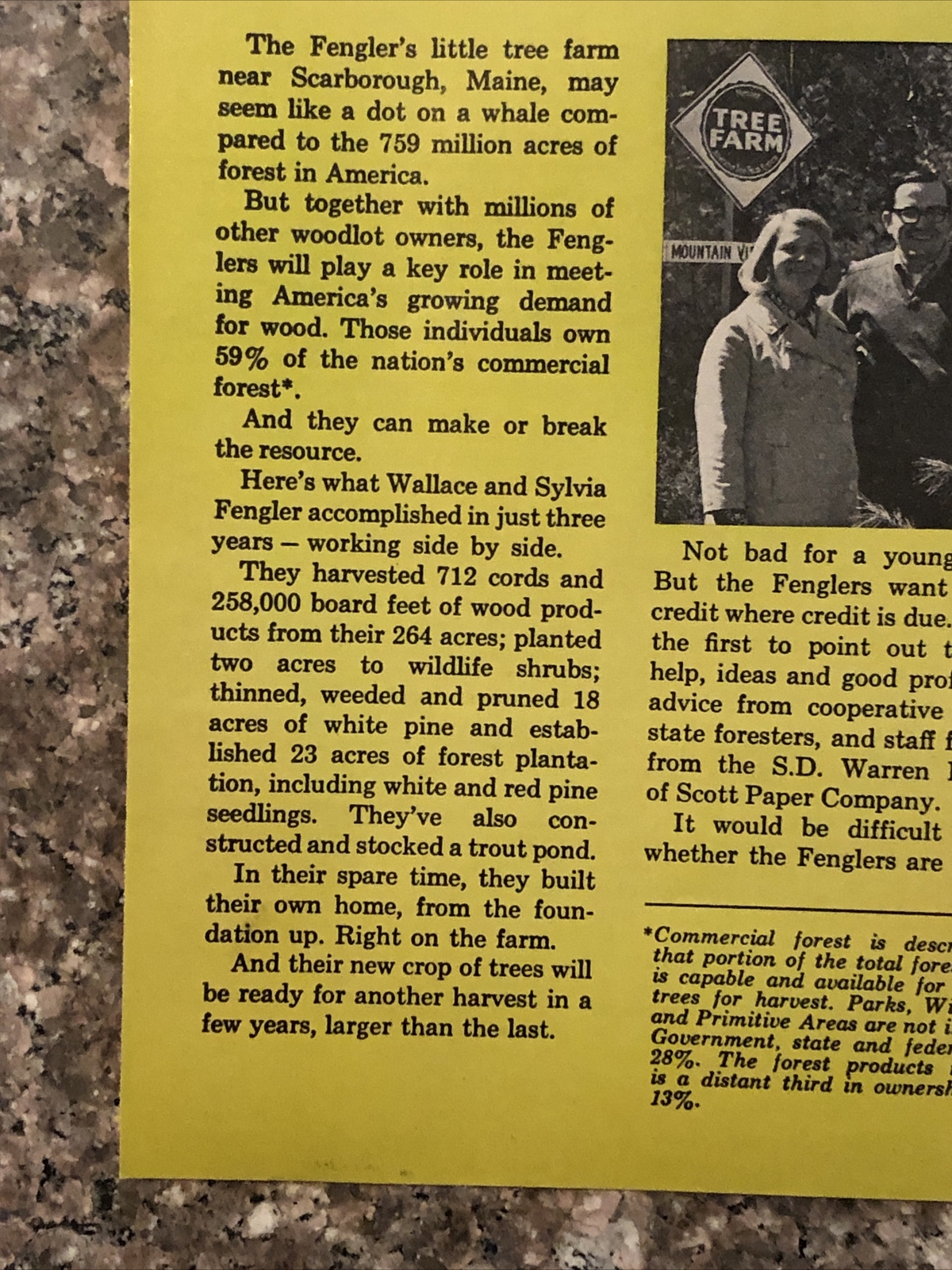 1974 American Forest PRINT AD Wallace Sylvia Fengler Scarborough Maine VTG 1970s