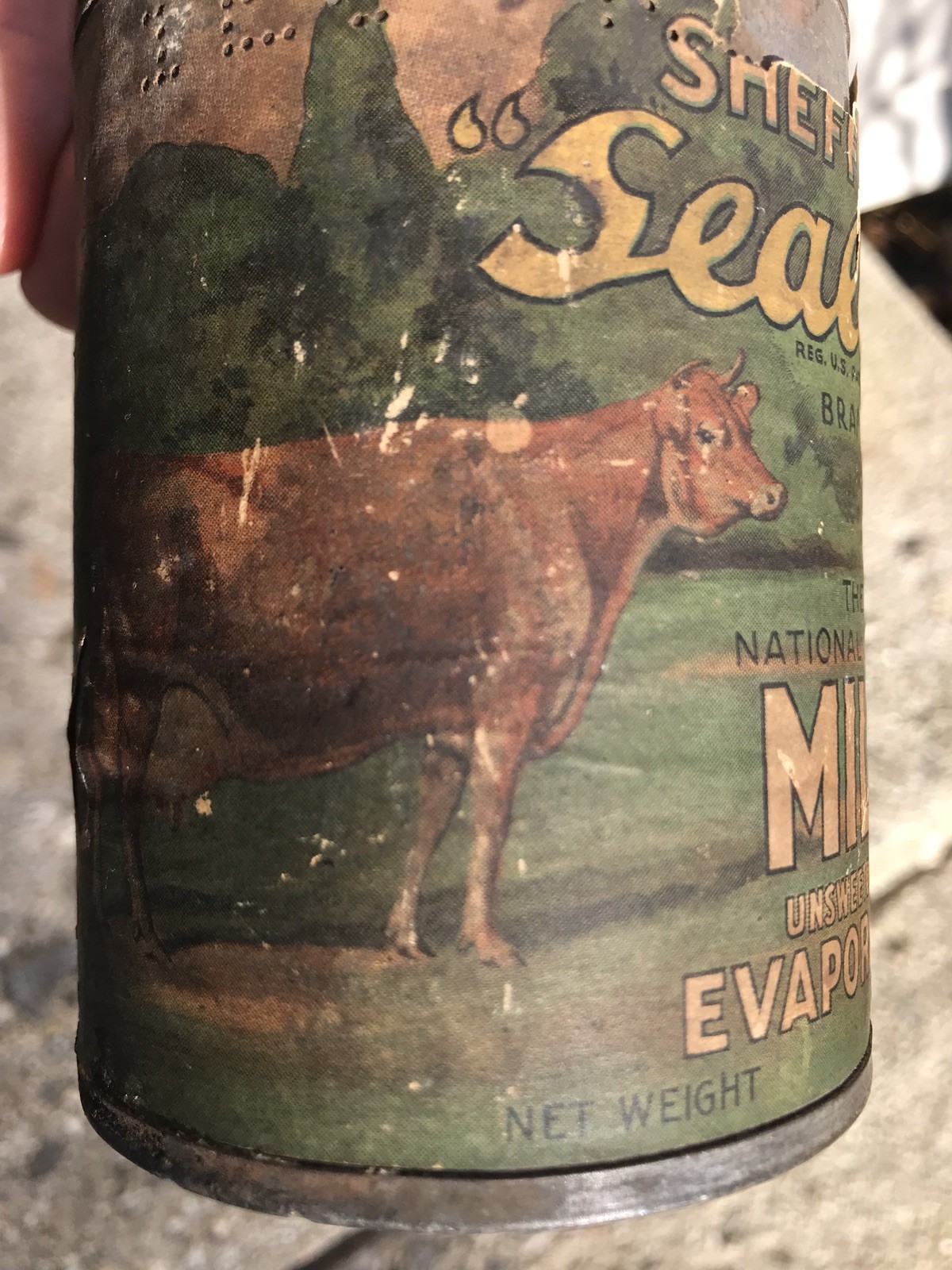 1920&rsquo;s Advertising COW BRAND Sheffield Sealect EVAPORATED MILK ANTIQUE TIN ,RARE