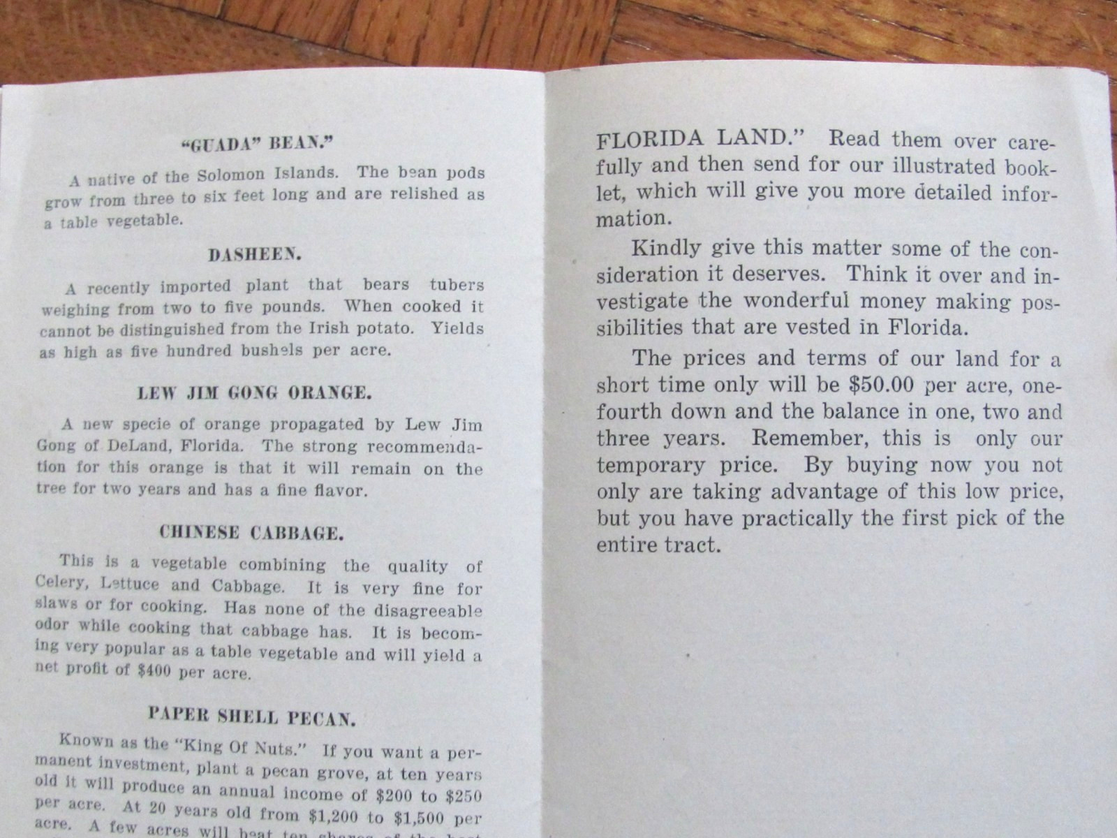 1920&rsquo;s BROCHURE DE SOTO COUNTY FLORIDA CITRUS & FARM LAND NEW HOME REALTY CO
