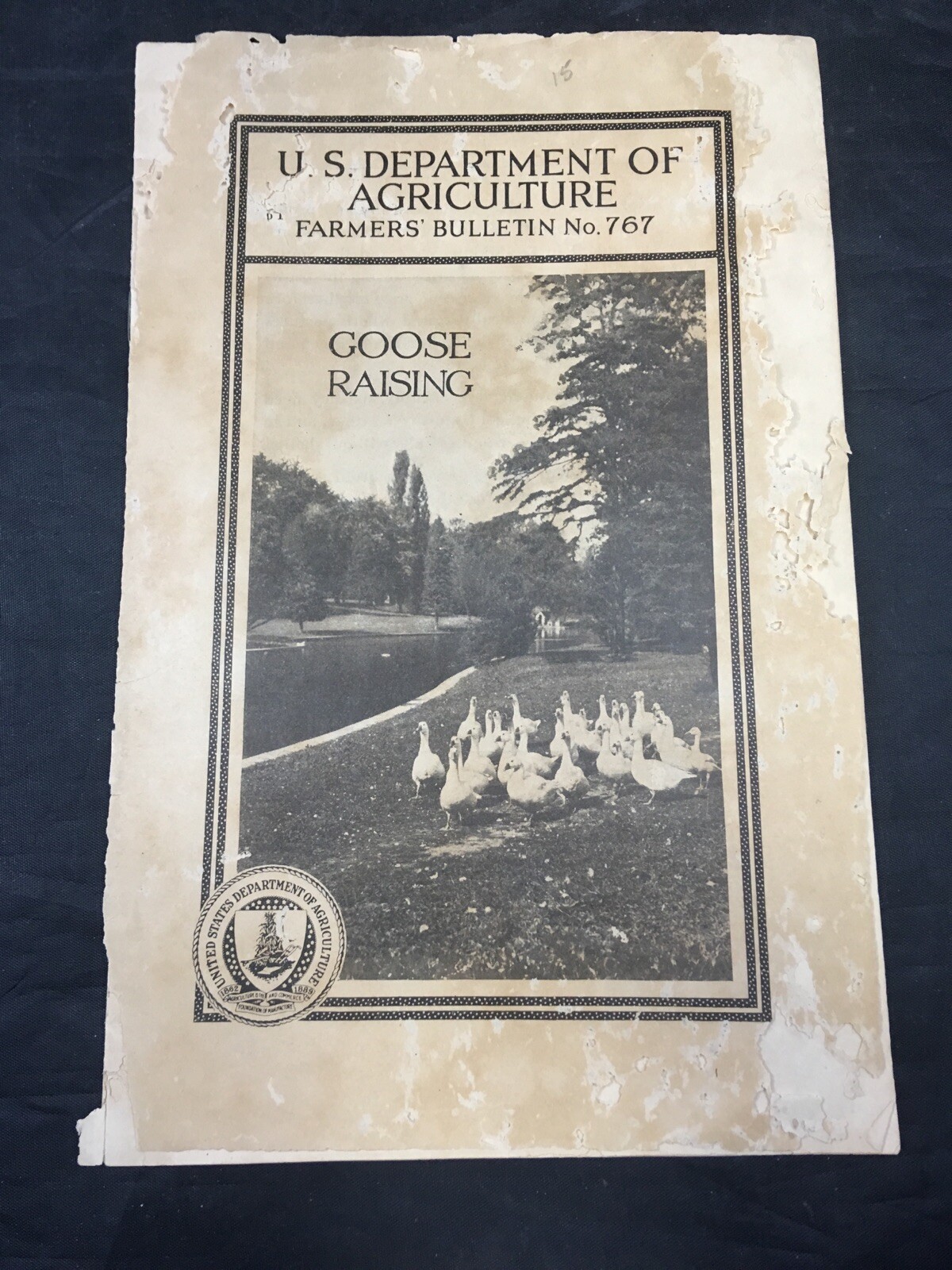 Goose Raising US Department of Agriculture Farmers Bulletin 767