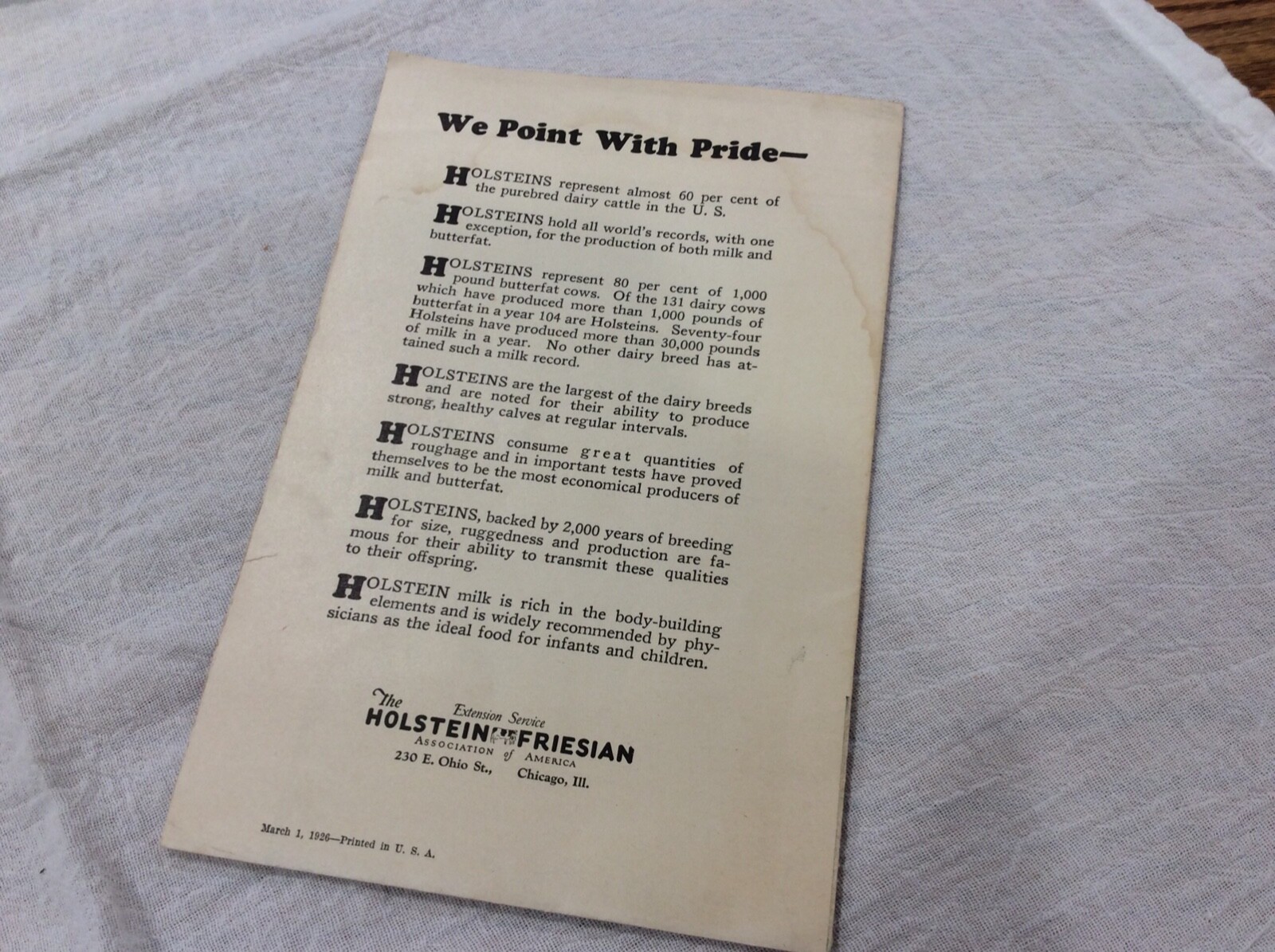 1926 Holsteins For Profit Cows Poster Holstein-Friesian Association Chicago