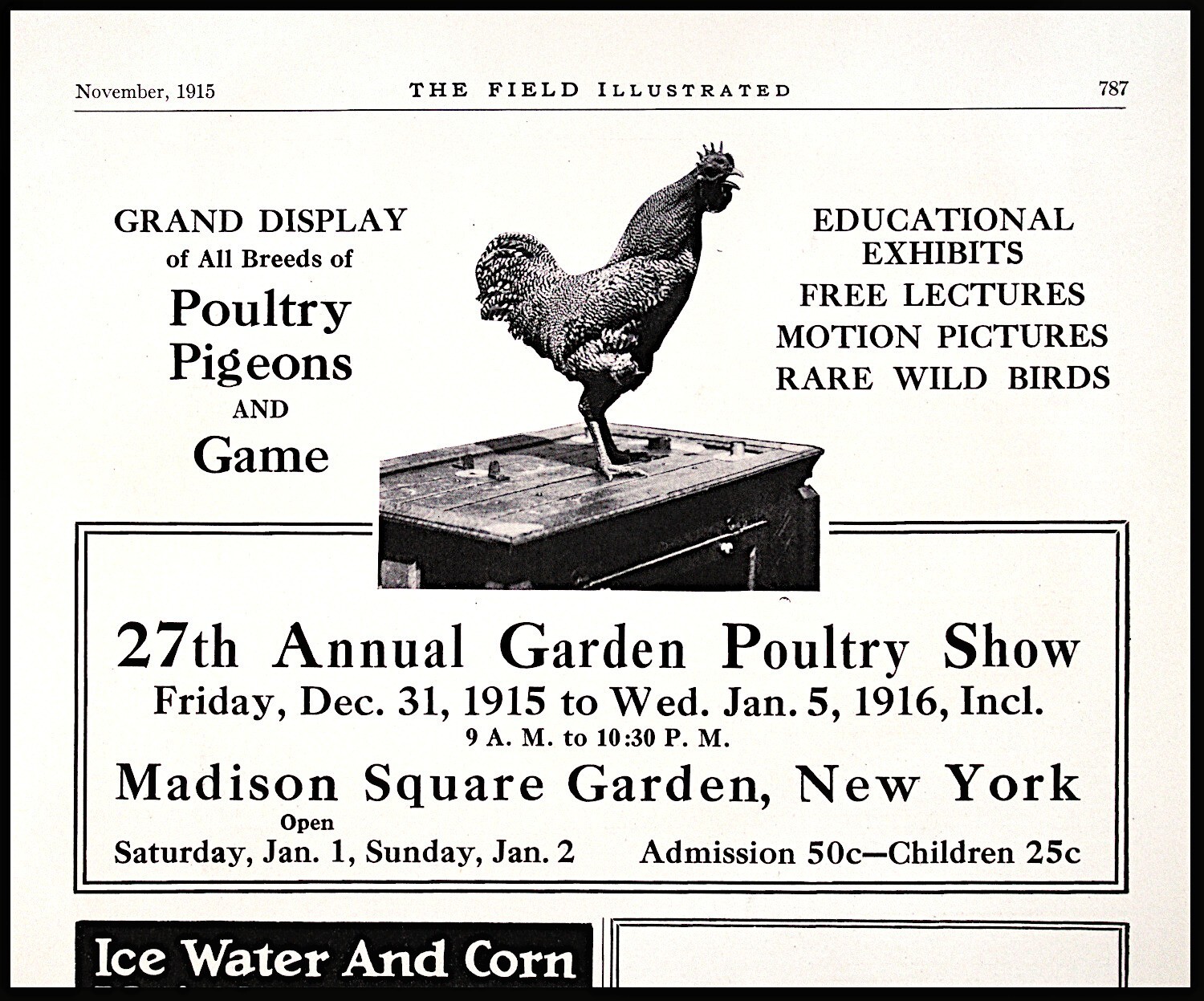 1915 27th Annual Poultry Show, Madison Sq. Garden Rooster Chicken Birds PRINT AD