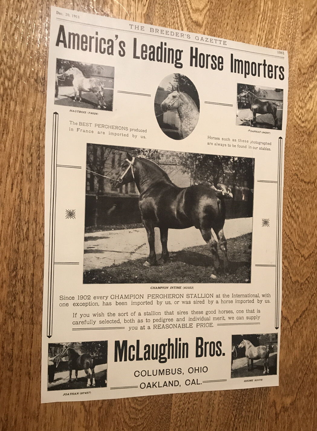 1911 McLaughlin Bros. Horse Advertising – Oakland – California – Columbus – Ohio