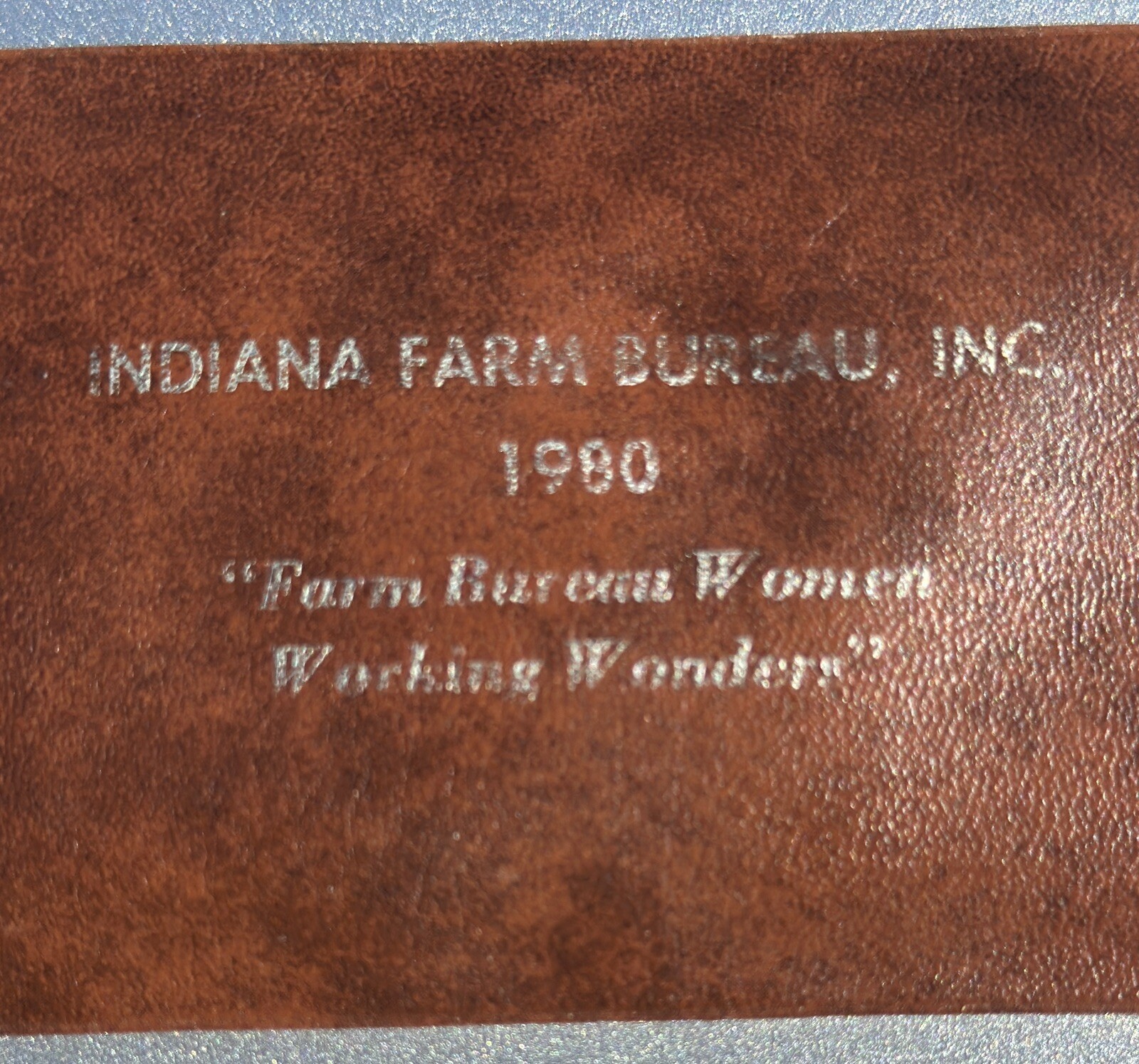 Rare Vintage Indiana Farm Bureau Women Pocket/Purse Mirror In Soft Sleeve 1980