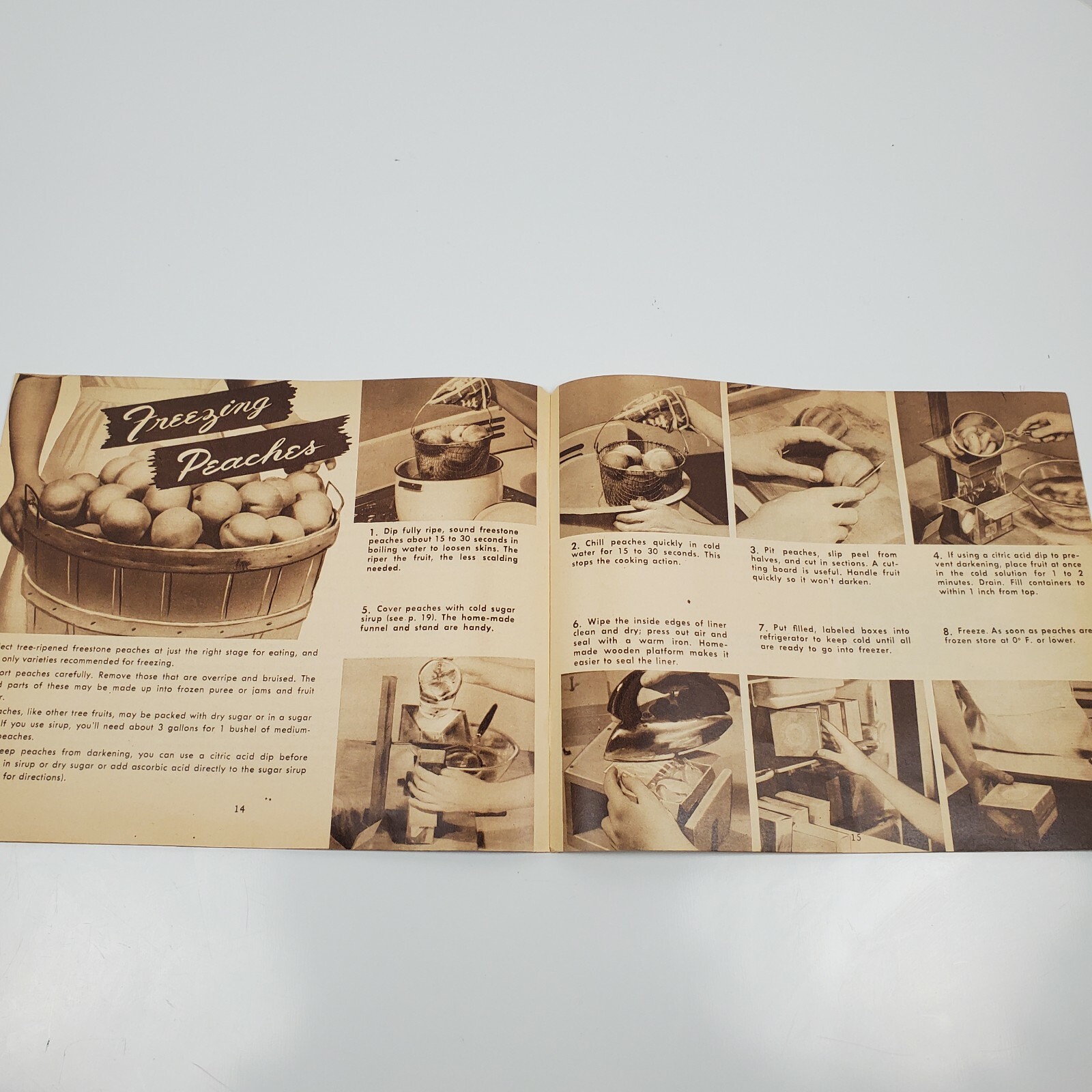 Vintage U.S. Dept of Agriculture Home Freezing Fruits & Vegetables Pamphlet 1946