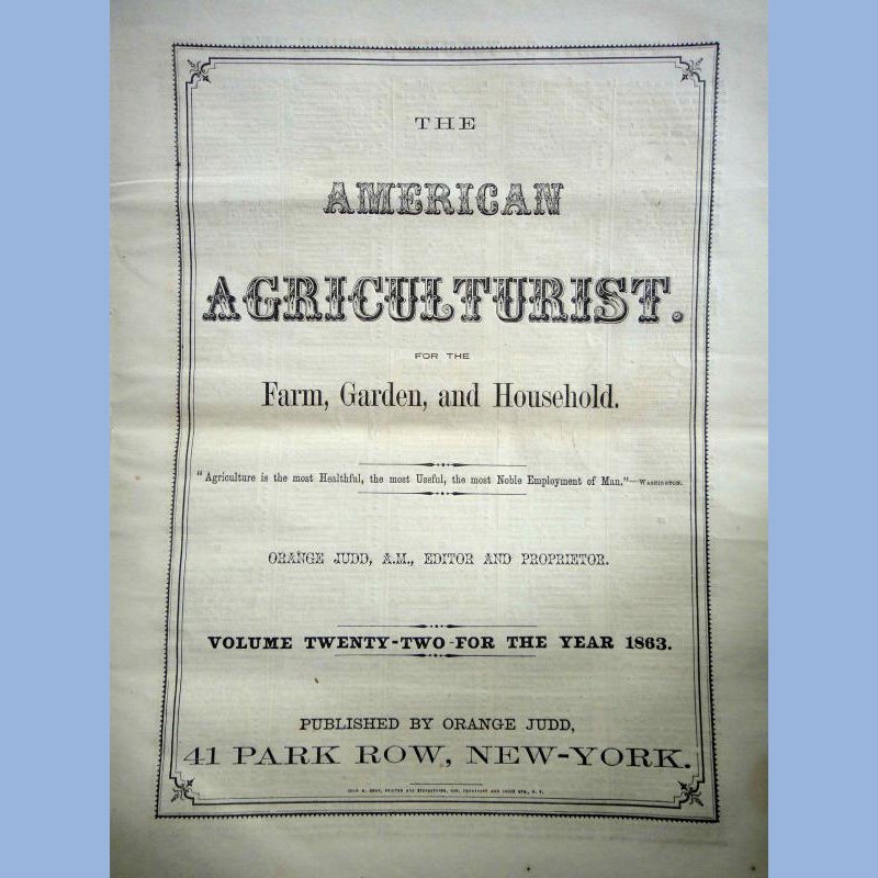 1863 DEC antique AMERICAN AGRICULTURIST farm garden household orange judd