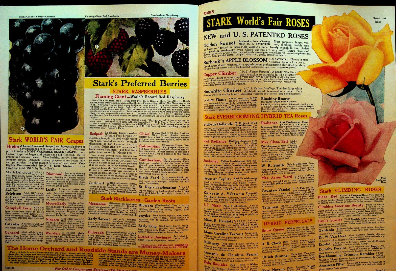 Stark 1937 Book of Fruits Catalog Stark Bros Nursery Louisiana Missouri