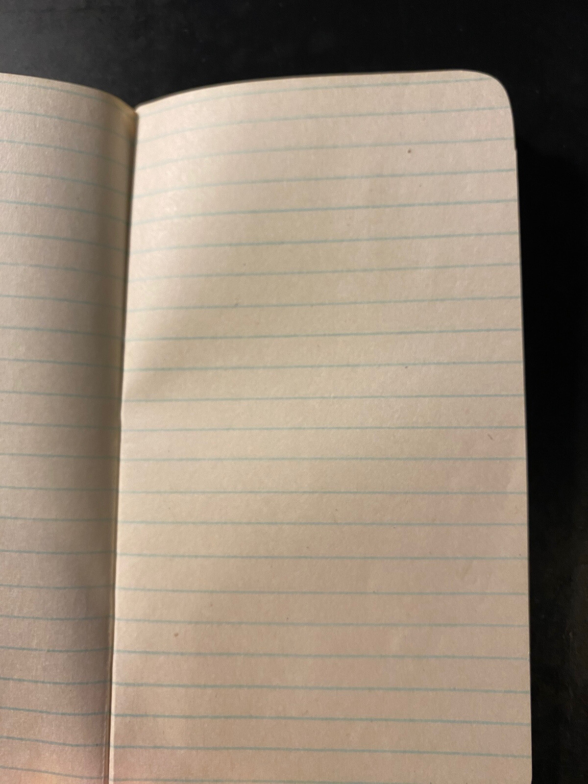 1922 The Baugh & Sons Company Baltimore Maryland Notepad Manure Fertilizer