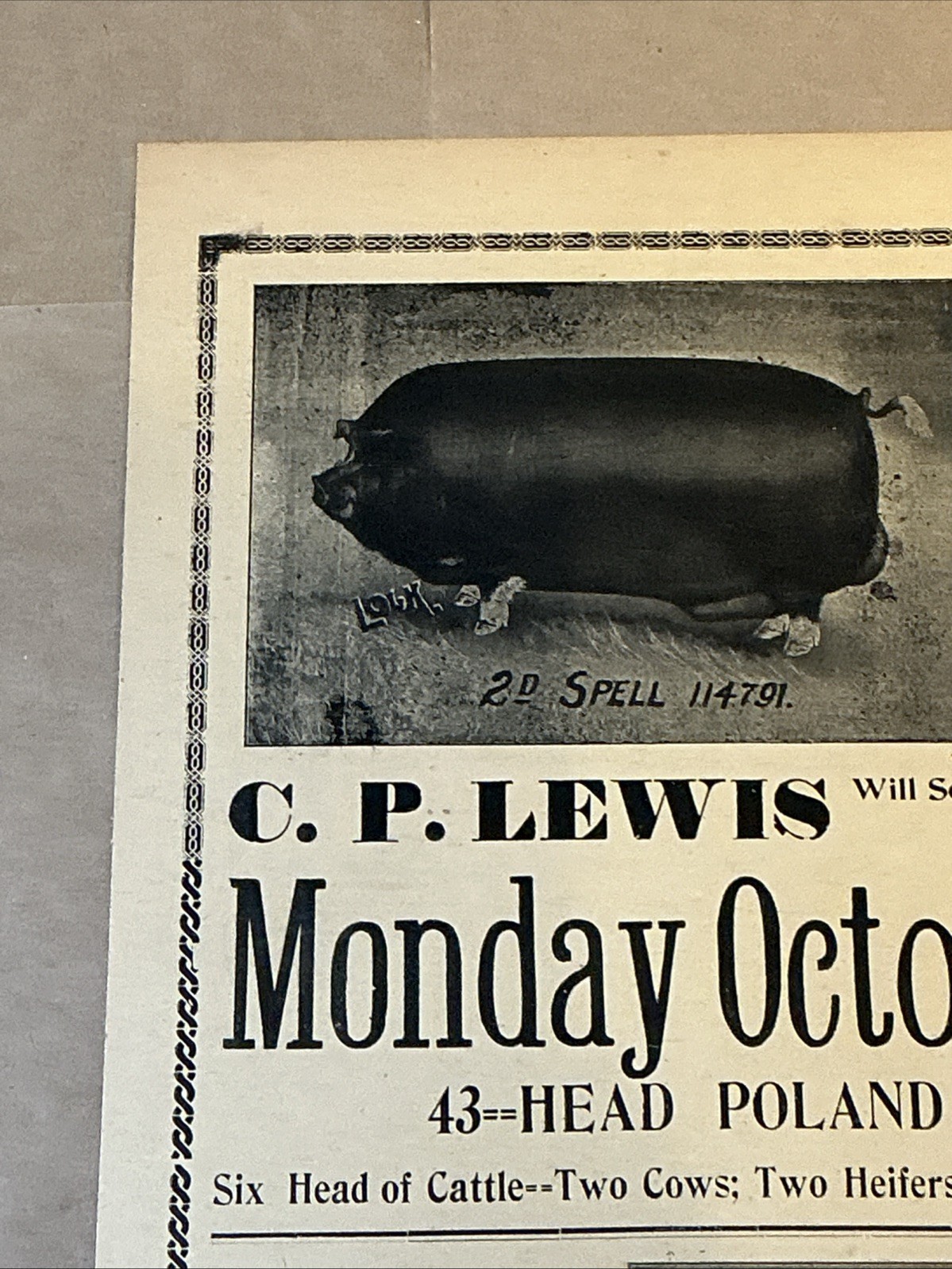 Antique 1911 Original Auction Poster China Hog Public Sale Ohio As Is INV-AC07Z