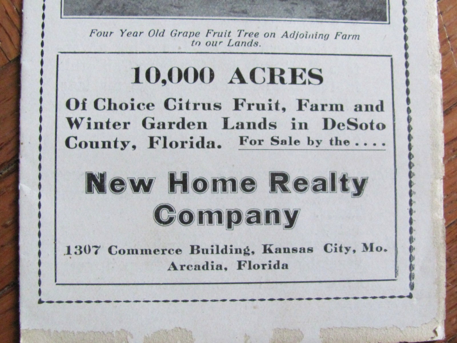 1920&rsquo;s BROCHURE DE SOTO COUNTY FLORIDA CITRUS & FARM LAND NEW HOME REALTY CO