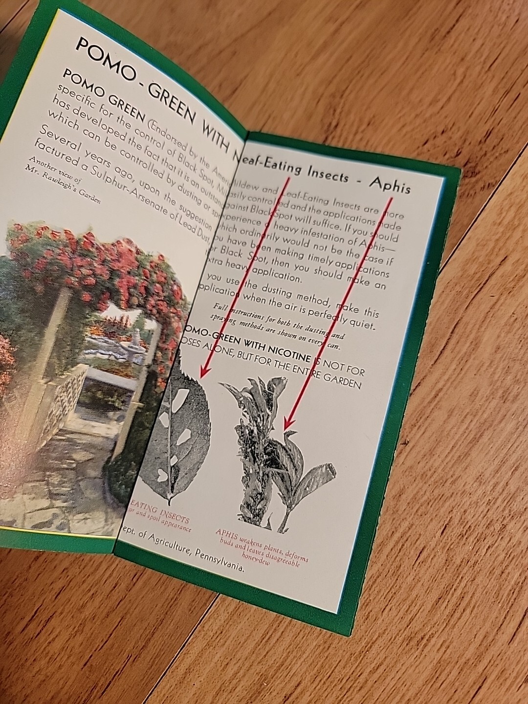 Vintage Pomo-Green Insecticide w/ Nicotine Brochure