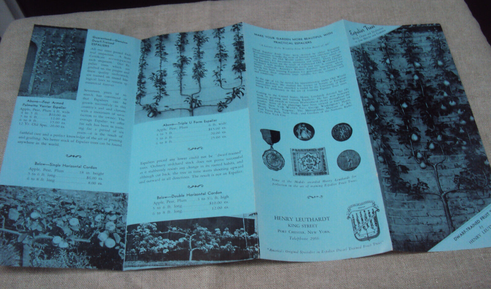 Scarce Vintage Folding Brochure Letter / Envelope Espalier Trees Henry Leuthardt