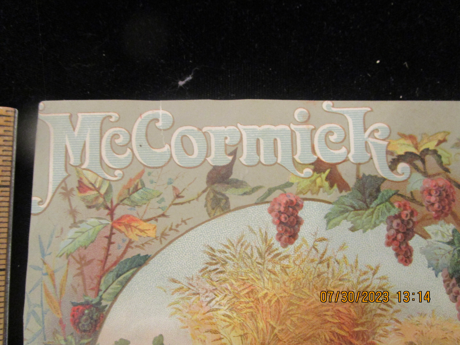 McCORMICK HARVESTING MACHINE CO. Chicago Advertising Trade Card c1880s Antique